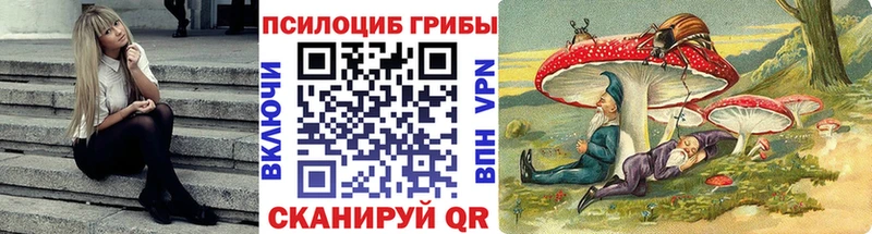 Галлюциногенные грибы мицелий  как найти наркотики  Химки 